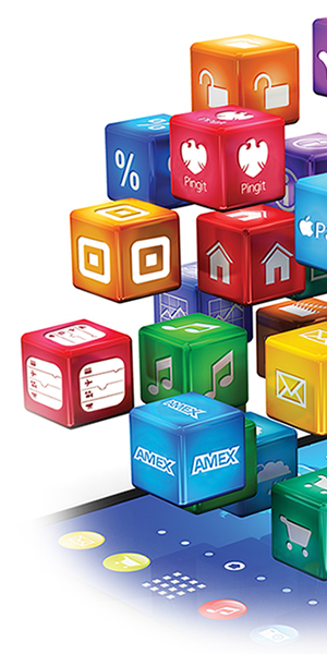 Digital Payments Survey