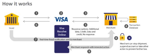 Visa Chargeback Rules