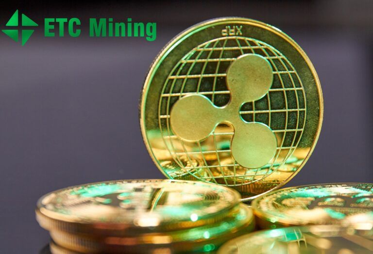 能源成:本上涨推;高9月美国出产者价值